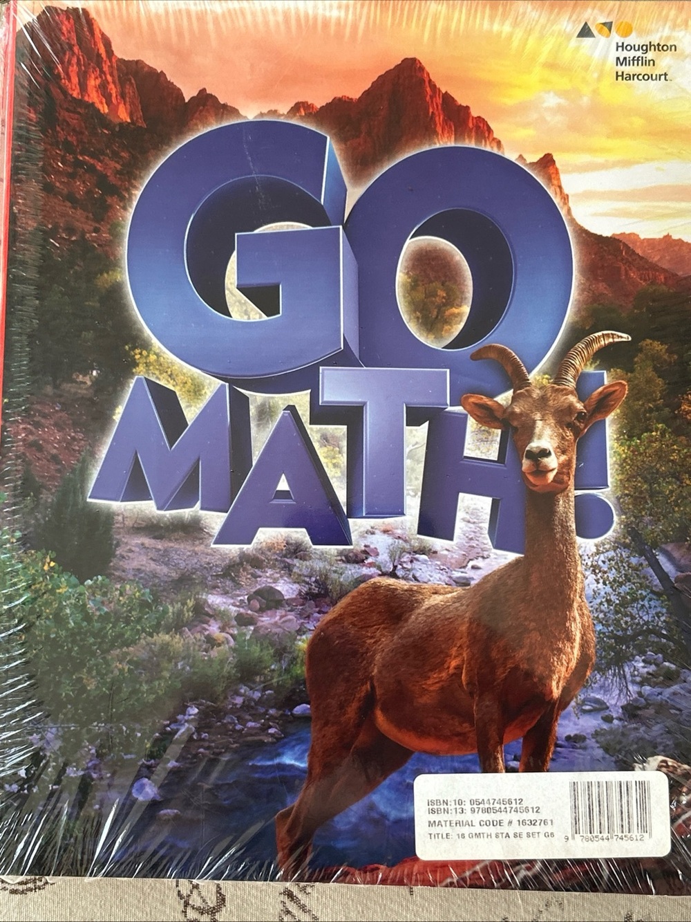 Houghton Mifflin Harcourt GO MATH 6 th grade vol 1 and 2